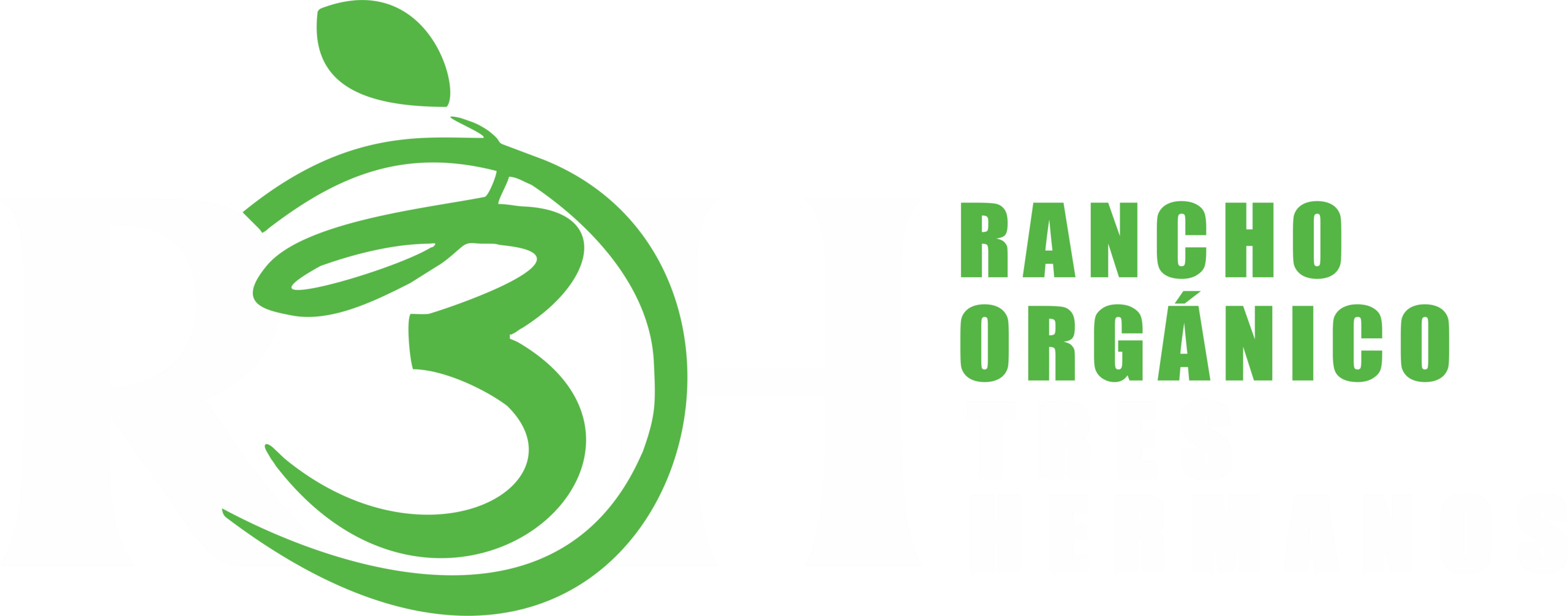LOGO R3H 2